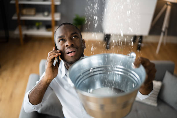 Trusted Shorewood, IL Water damage restoration Experts