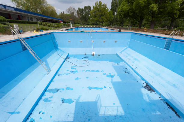 Best Mold removal after water damage  in Shorewood, IL