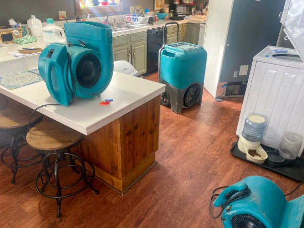 Best Professional water damage repair  in Shorewood, IL