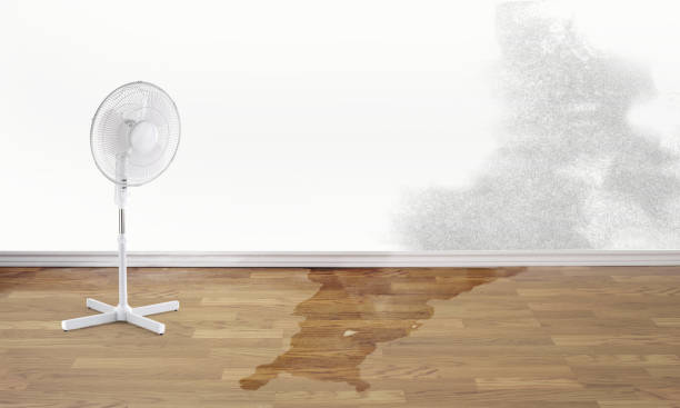 Best Water damage restoration process  in Shorewood, IL