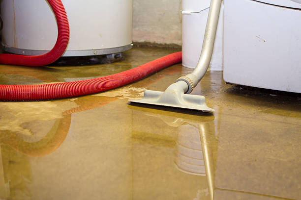 Best Flood restoration services  in Shorewood, IL
